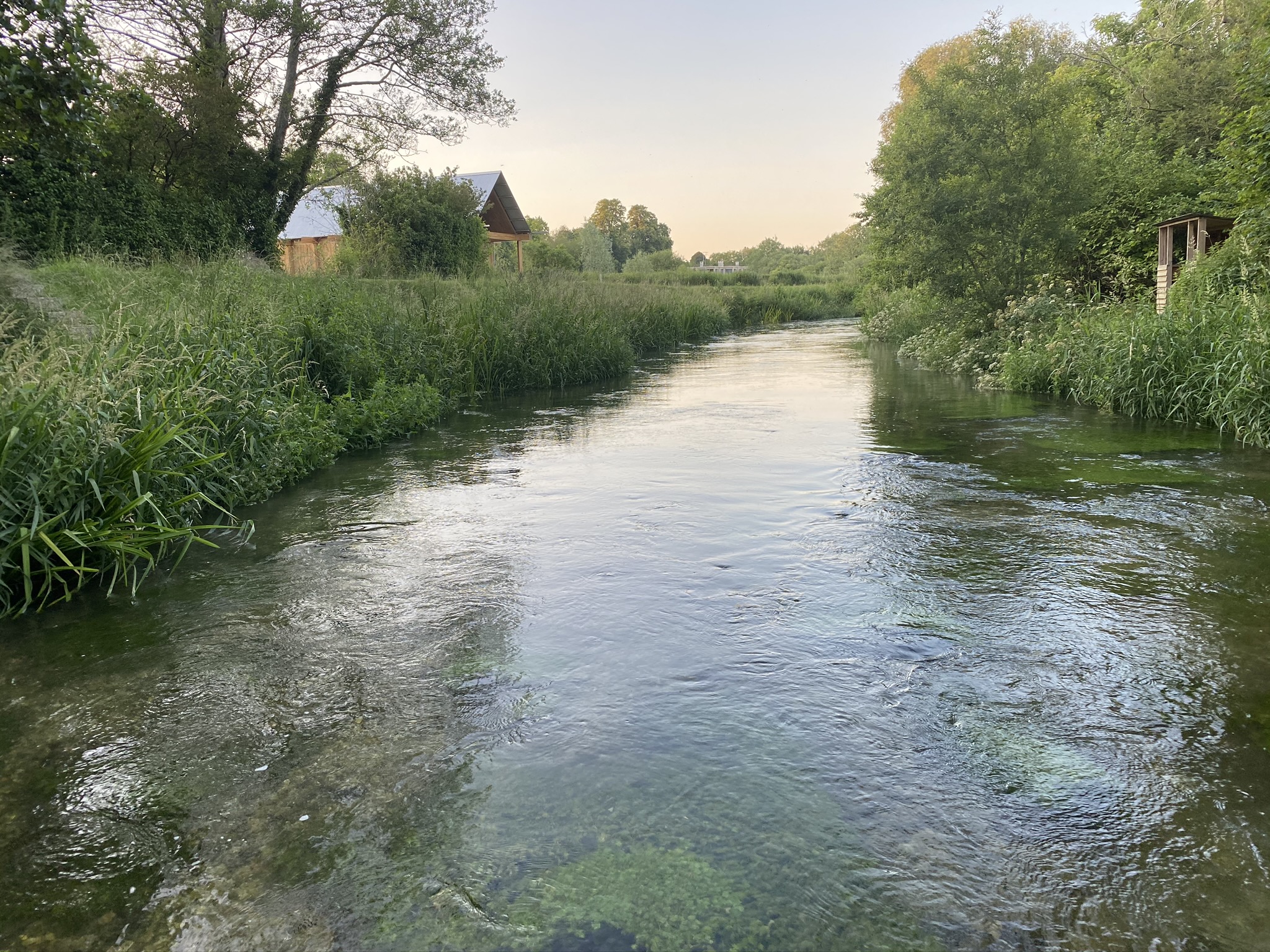 6865FA7E-A792-4C11-8648-B90FADB4423A